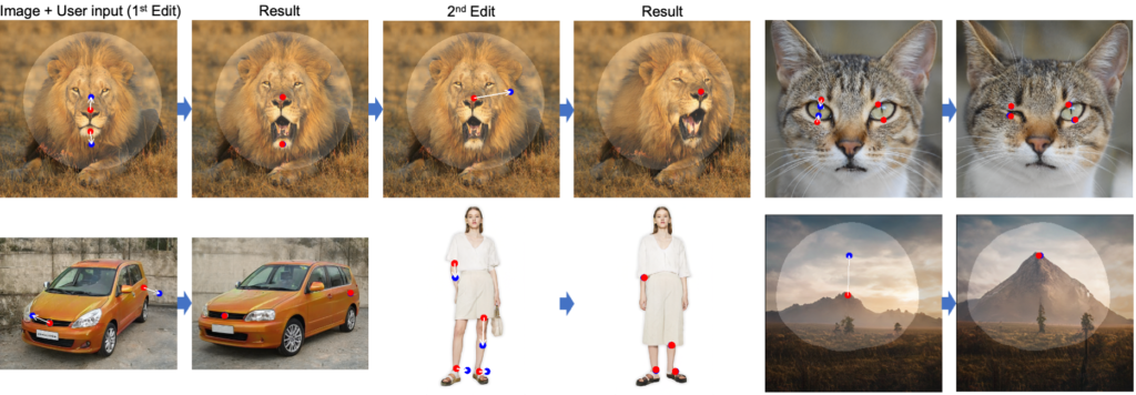 DragGan AI Editing Tool: Demonstaration of usage